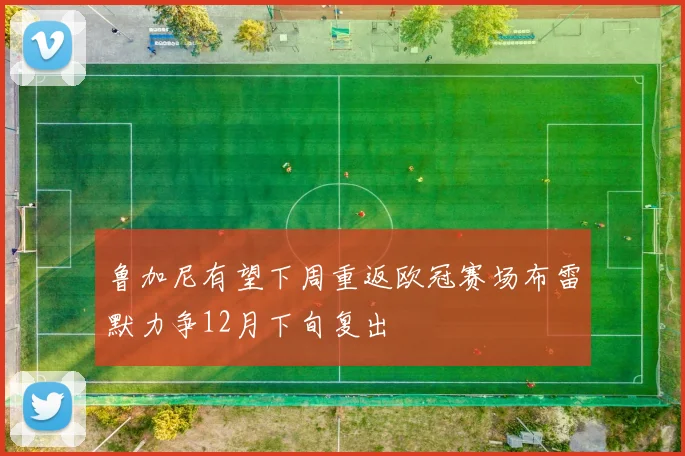 鲁加尼有望下周重返欧冠赛场布雷默力争12月下旬复出