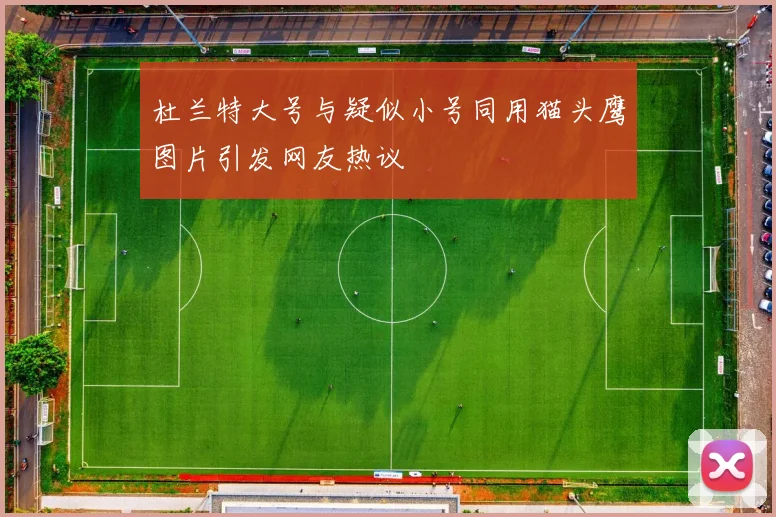 杜兰特大号与疑似小号同用猫头鹰图片引发网友热议